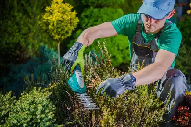 landscaping services Sturgis